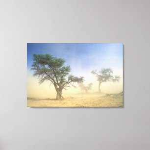 Impressão Em Tela Tempestade de areia no deserto do Kalahari, Kgalag