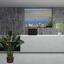 Tempo de alimentação para a lei de spoonbill