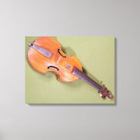 Tenor viol, 1667