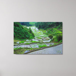 Impressão Em Tela Terraços de Arroz de Banaue, Luzon