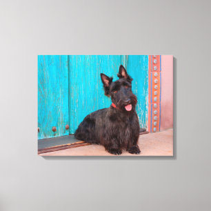Impressão Em Tela Terrier Escocês sentado ao lado de uma porta color