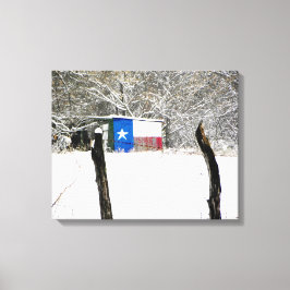 Impressão Em Tela Texas Snow