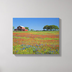 Impressão Em Tela Texas, Texas Hill Country, pincel de Texas