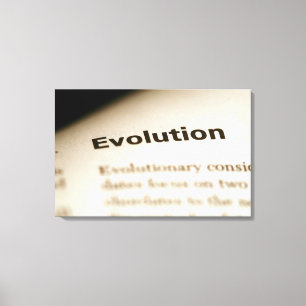 Impressão Em Tela Texto da evolução na página