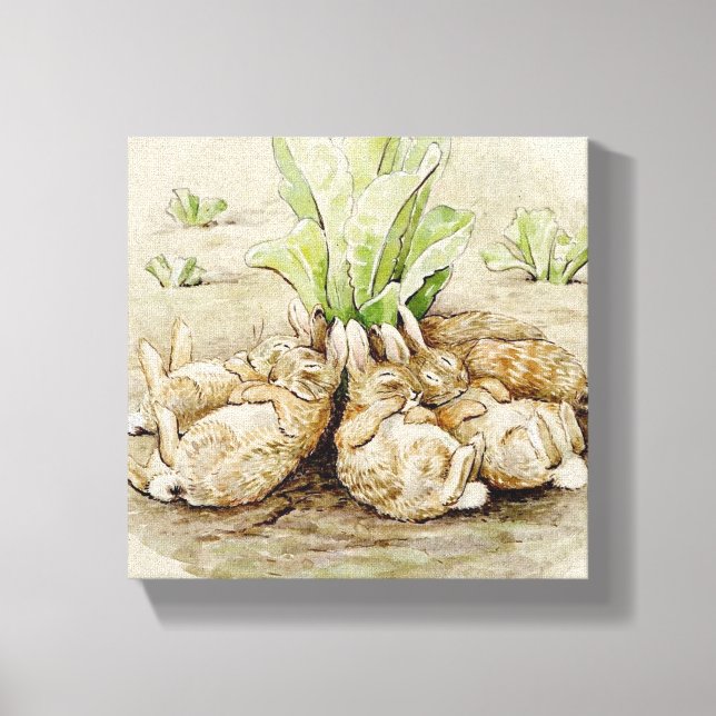 Impressão Em Tela The Flopsy Bunnies Asleep (por Beatrix Potter) (Frente)