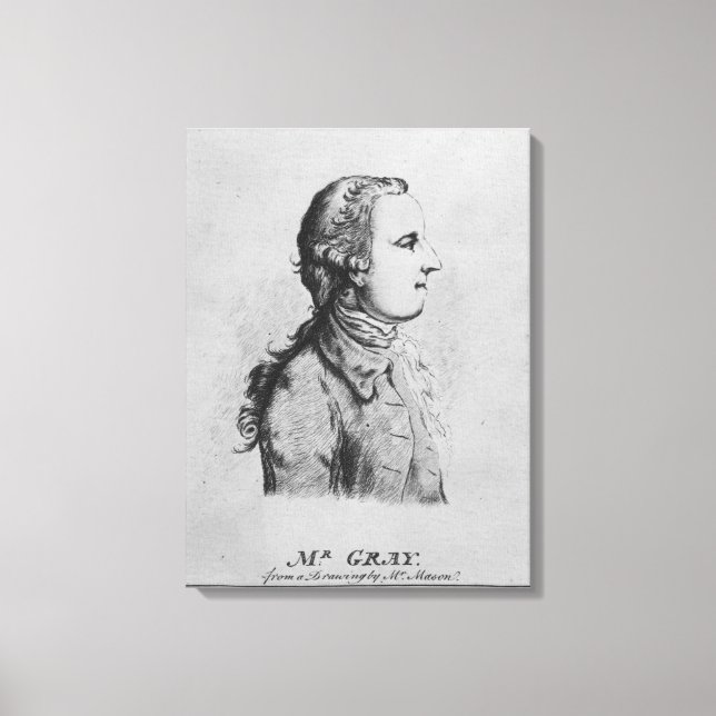 Impressão Em Tela Thomas Cinza, desenhado por William Henshaw (Frente)