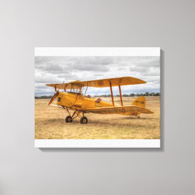 Impressão Em Tela Tiger Moth (Frente)
