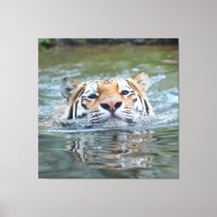 Impressão Em Tela Tigre 028