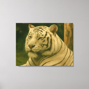 Impressão Em Tela Tigre Branco Descendo em Woodland Shade