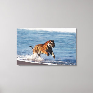 Impressão Em Tela Tigre-de-bengala (Panthera Tigris)