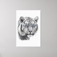 Tigre - Lápis Desenho com olhos azuis