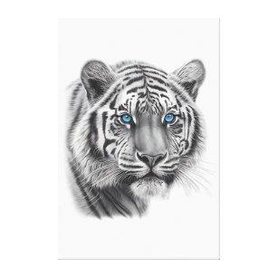 Pôster Câmera Pencil Vs - Tigre, Coruja, Homem