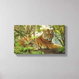 Impressão Em Tela Tigre na floresta