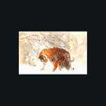 Impressão Em Tela Tigres<br><div class="desc">Os tigres durante o inverno, a canvas de brilho de Zazzle é feita a partir de uma mistura de poli-algodão sem aditivos e apresenta um revestimento especial receptivo a tinta que protege a superfície impressa de fissuras quando esticada. Feita com tecelagem apertada, ideal para qualquer fotografia ou arte fina, a...</div>