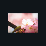 Impressão Em Tela Tímida, a flor de sakura se abriga atrás dos própr<br><div class="desc">Flor de sakura iluminada pelo sol, mas tímida, se esconde atrás das outras flores de cerejeira. A bela cena do jardim de primavera em tons de rosa. Uma pintura digital extragrande feita a partir de uma fotografia. Impressão em tela esticada floral incrível para decorar seu espaço ou para ser usada...</div>
