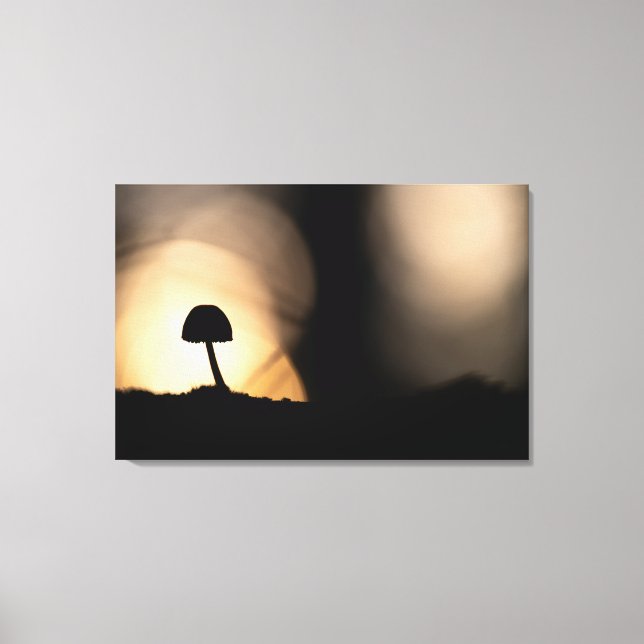 Impressão Em Tela Tiny Mushroom Nature Foto (Frente)