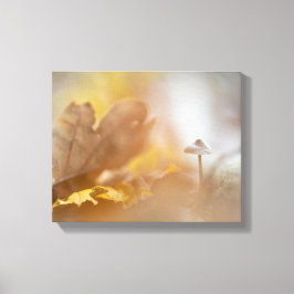 Impressão Em Tela Tiny Mushroom Nature Foto