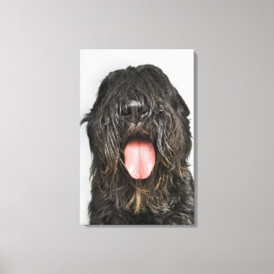 Impressão Em Tela Tiro do estúdio