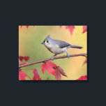 Impressão Em Tela Titulares Tufados<br><div class="desc">Coluna de molho no outono com lindas folhas e folhagens do outono. Foto enviada por um leitor de Birds & Blooms. Birds & Blooms é a revista nº 1 de pássaros e jardins na América do Norte. Orgulhamo-nos em celebrar o cobrir da "beleza no seu próprio quintal" uma vasta gama...</div>