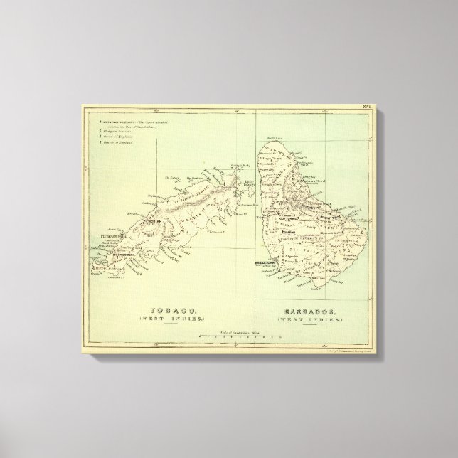 Impressão Em Tela Tobago Barbados (Frente)