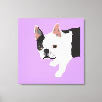 Toby Boston Terrier, da Elaine