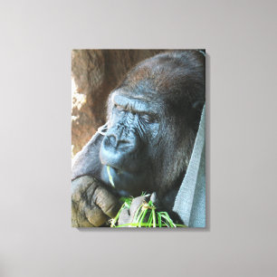 Impressão Em Tela Toca de macaco ~ Gorila Japonês Comendo