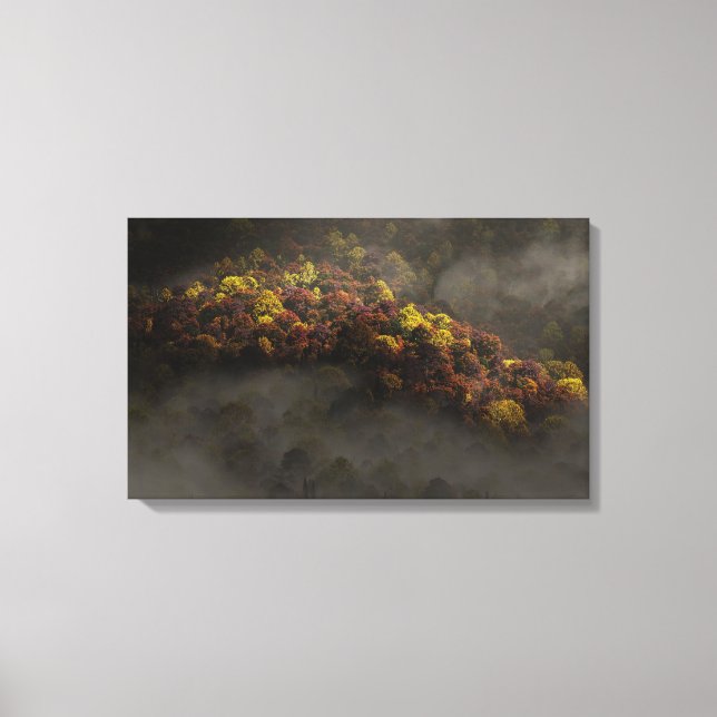 Impressão Em Tela Tocado pelo Sol (Frente)