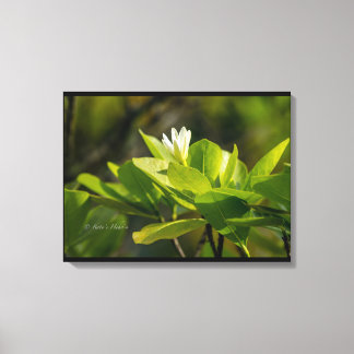 Impressão Em Tela Toile "Tiare Tahiti" photographie Itata'e Hoho'a