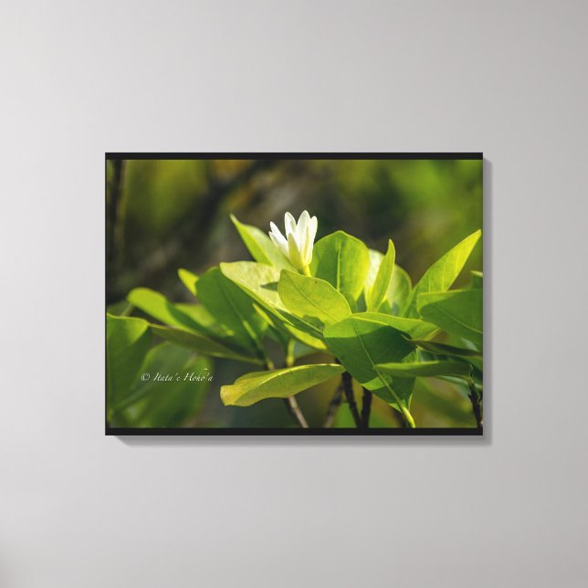 Impressão Em Tela Toile "Tiare Tahiti" photographie Itata'e Hoho'a  (Frente)