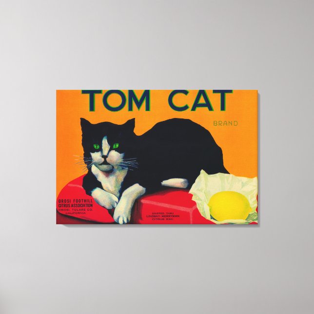 Impressão Em Tela Tom Cat Lemon LabelOrosi, CA (Frente)