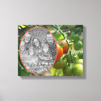 Tomates de cereja do jardim Criam sua própria foto
