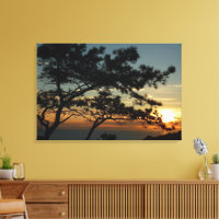 Torrey Pine Sunset I California Landscape