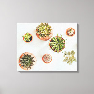 Impressão Em Tela Trabalhos de arte do Succulent