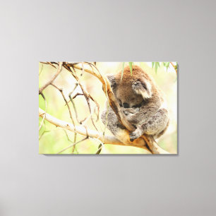 Impressão Em Tela TRANQUIL KOALA 24x36
