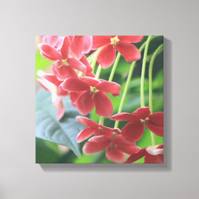 Impressão Em Tela Tranquilidade (Frente)