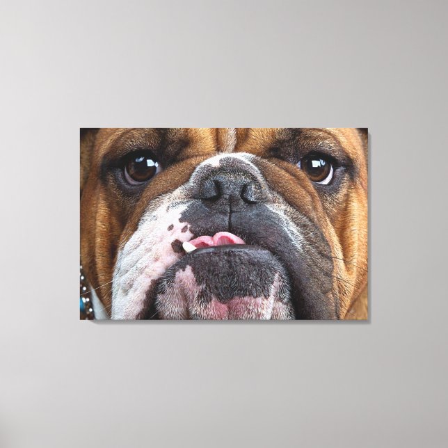 Impressão Em Tela Travesseiro decorativo Inglês Bulldog (Frente)