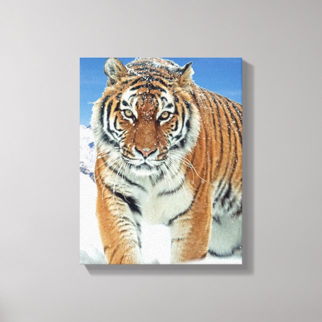 Impressão Em Tela Trendy Tiger Snow Mounains Winter Nature Photo (Frente)