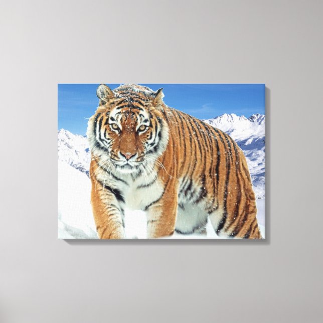 Impressão Em Tela Trendy Tiger Snow Mounains Winter Nature Photo (Frente)
