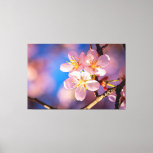 Impressão Em Tela Três Blossomas de Sakura Rosa