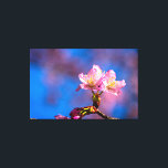 Impressão Em Tela Três Flores Sunlit Sakura Num Dia De Primavera Sun<br><div class="desc">Um belo aglomerado de três flores cor-de-sakura cereja floresce contra o céu azul claro e a névoa rosa das flores de cereja. O charme da estação de primavera. Uma pintura digital muito grande a partir de uma fotografia. Impressão floral esticada de tela para decorar seu lugar ou para ser usada...</div>