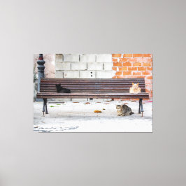 Impressão Em Tela Três Gatos em um Banco