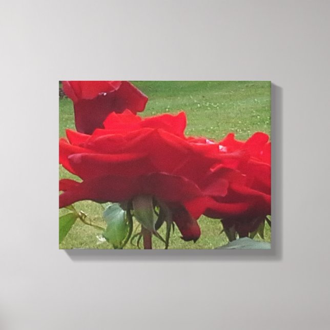 Impressão Em Tela Três ROSAS VERMELHAS (Frente)