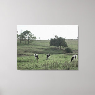 Impressão Em Tela Três vacas em uma arte da parede da fotografia do