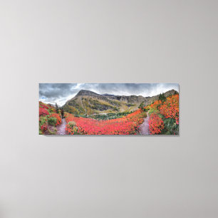 Impressão Em Tela Trilha de Passagem Swiftcurrent - Parque Nacional 