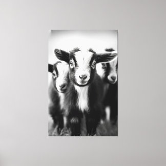 Impressão Em Tela Trio de Retrato Monocromático de Bebê Caprina
