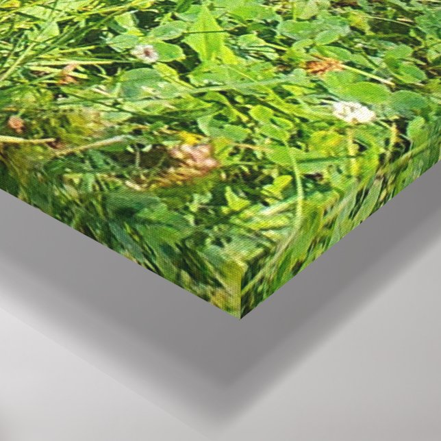 Impressão Em Tela Tronco de Árvore Quebrado (Canto (inferior))