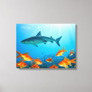 Impressão Em Tela Tubarão entre peixes dourados