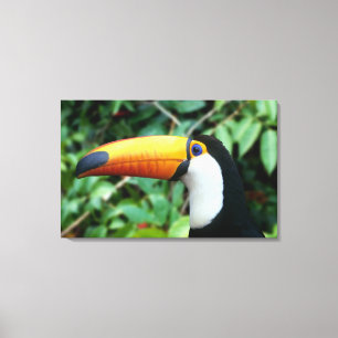 Impressão Em Tela Tucano-de-bico-amarelo