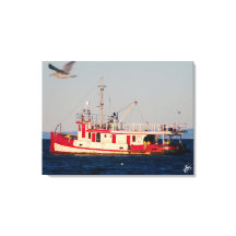 Tug Boat na Baía de Motim com um pássaro