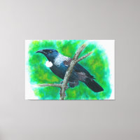 Tui Nova Zelândia - Pintura em acrílico